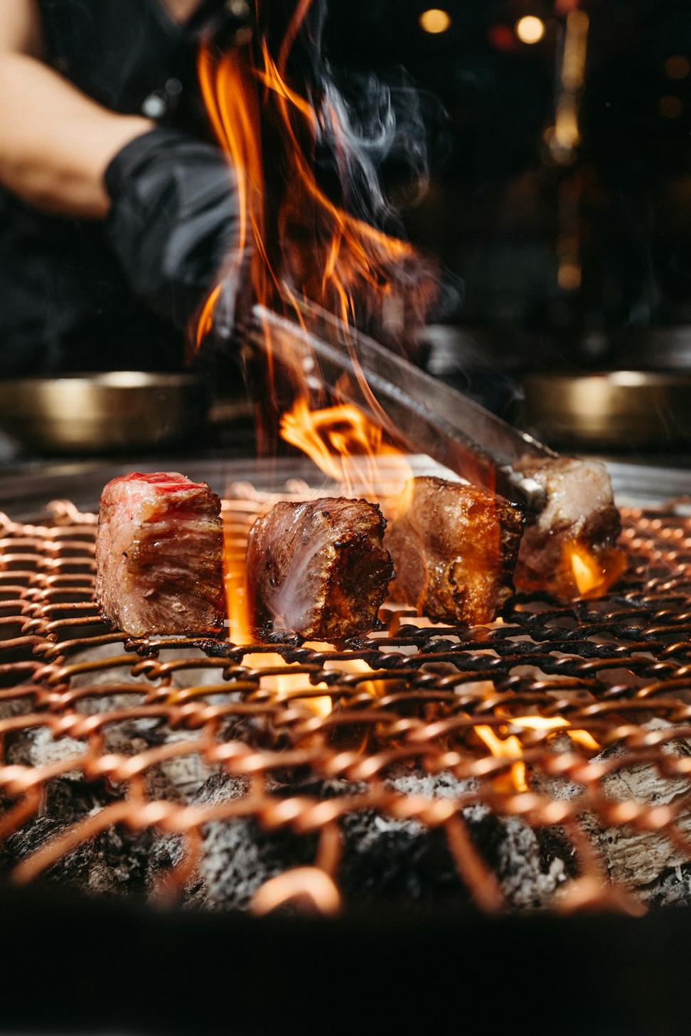 Wild elk tenderloin